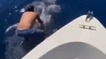 Homem monta em tubarão-baleia no Mar Vermelho - Reprodução TikTok/@igorbbs