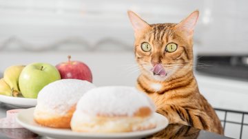 Os gatinhos podem comer algumas frutas, será que mamão é liberado? - Svetlana Sultanaeva / istock