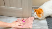 Essas dicas vão ajudar você a tirar o cheiro de xixi de gato da sua casa. - (Oleg Opryshko / iStock)