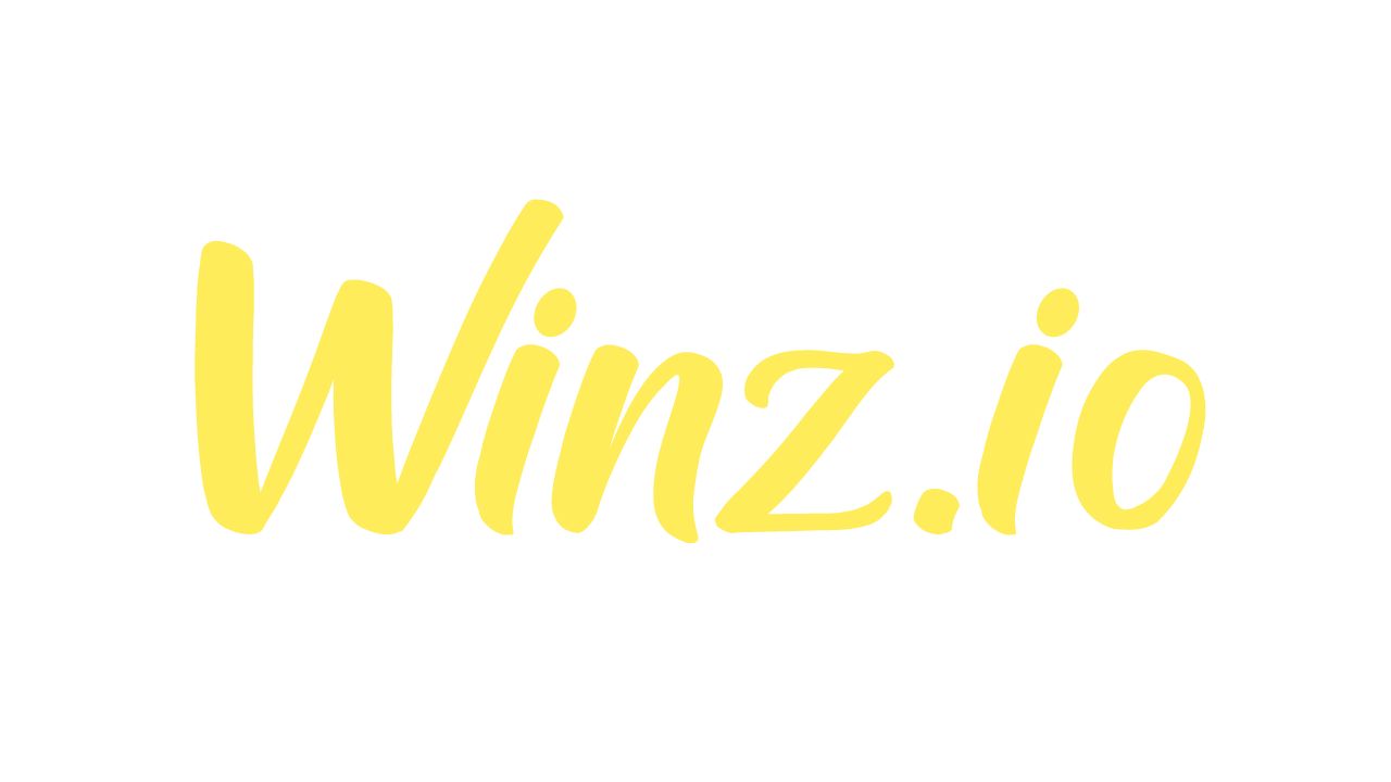 logo winz.io