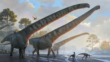 Imagem: Reprodução / Júlia d´Oliveira - ilustração de um Mamenchisaurus sinocanadorum