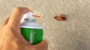Ninguém gosta de baratas dentro de casa, mas usar inseticida não é a forma mais eficiente de eliminá-las. - Imagem: Poravute / iStock