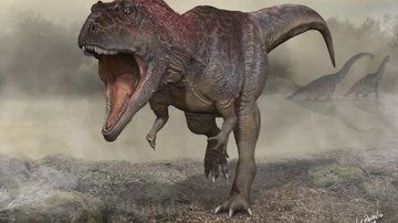 Cientistas encontram o maior animal da história, superando os dinossauros; veja qual - Imagem: reprodução University of Minnesota