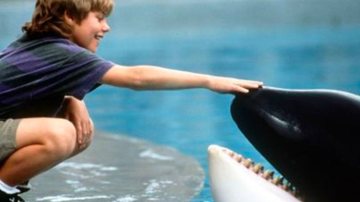 Free Willy: o que aconteceu com Keiko, a orca do filme? - Imagem: reprodução redes sociais
