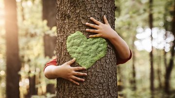 As árvores proporcionam uma série de benefícios para nossa vida. - Imagem: Nastco/iStock