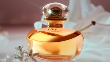 esses perfumes são excelentes opções para quem é apaixonada por fragrâncias. - (Imagem: Reprodução / Divulgação)