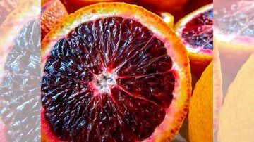 O Morosil é o ativo extraído da laranja Moro, fruta originária da região do Mediterrâneo. - Imagem: Pinterest