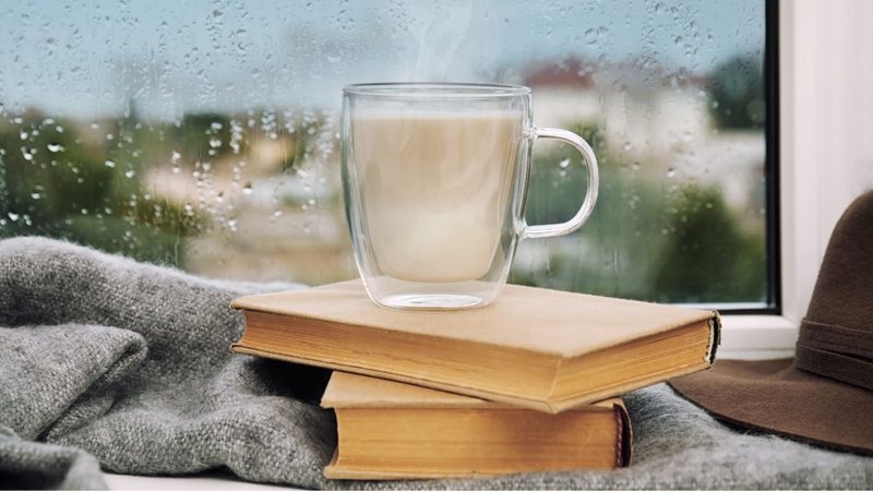 Quem não gosta de passar um dia lendo, né? - imagem: Liudmila Chernetska/iStock