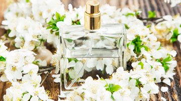 Perfumes florais são a cara da primavera. - Imagem: Catalina-Gabriela Molnar/iStock