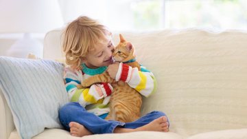 Gatos são ótimos companheiros e podem ser muito amáveis! - imagem: FamVeld/iStock