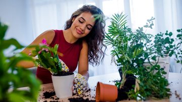 Saiba quais plantas você pode comprar sem medo para embelezar a sua casa! - (dragana991 / iStock)
