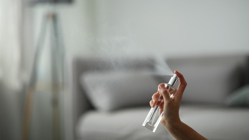 Os perfumes para casa são práticos para manter o ambiente cheiroso. - Liudmila Chernetska / istock