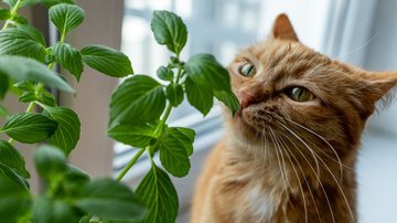 Conheça as plantas que precisam ficar bem longe do seu gato. - Yuliya Kashirina/ iStock