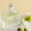 Veja quais são os melhores perfumes femininos refrescantes de O Boticário. - Marina Moskalyuk / istock