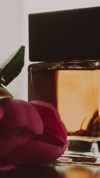 Perfumes da Natura: 5 fragrâncias até R$100 para arrasar