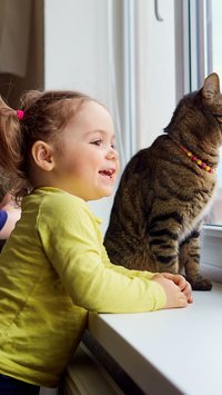 5 raças de gato perfeitas para famílias com crianças