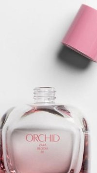 5 perfumes da Zara idênticos aos importados