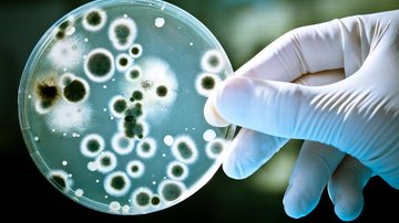 Imagem Cientistas criam antibiótico capaz de combater 300 tipos de bactérias