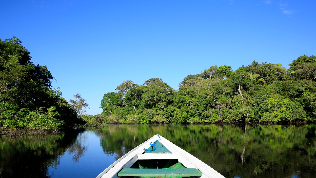 passeio de barco na floresta amazônica