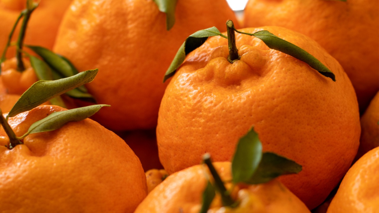 A laranja é rica em vitamina C