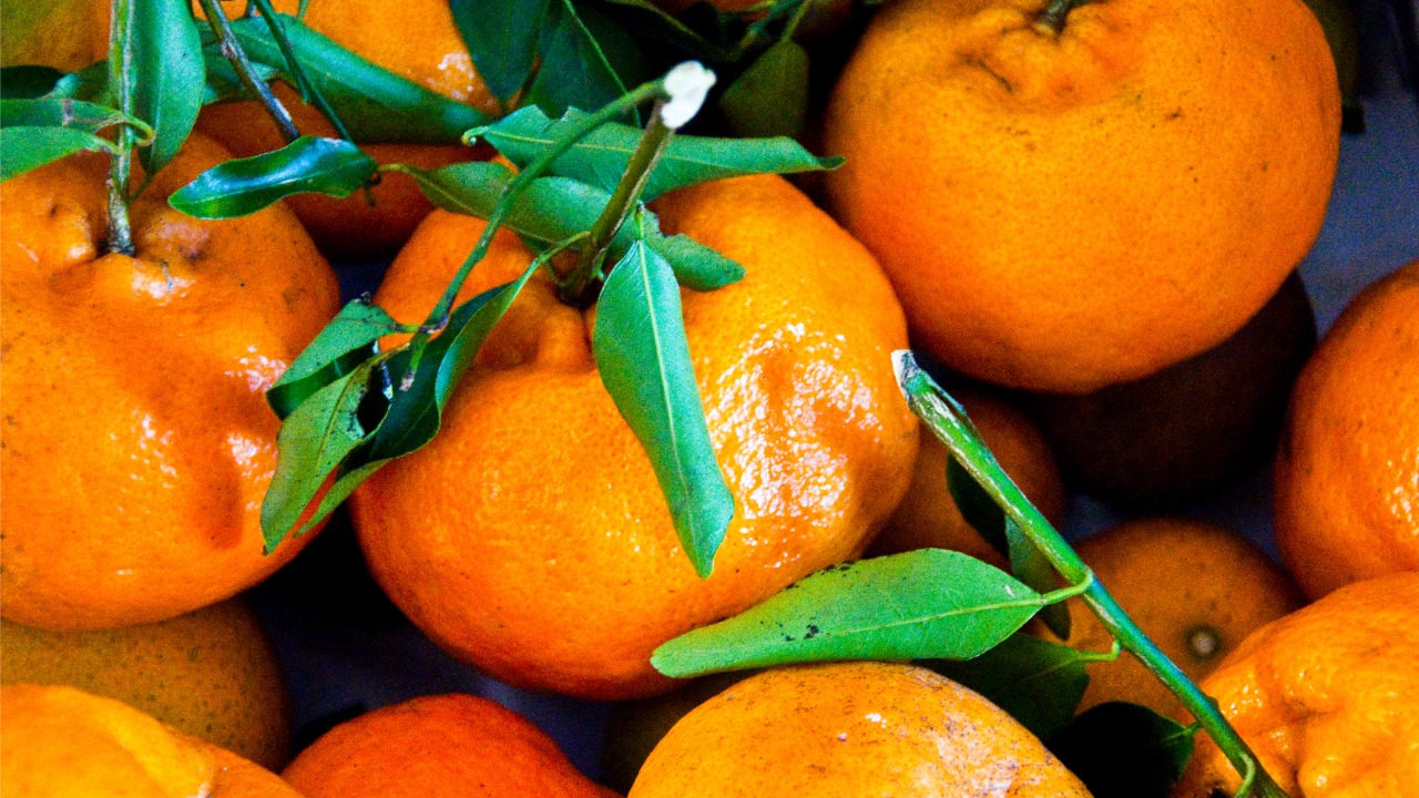A tangerina é um ótimo alimento para a pele.
