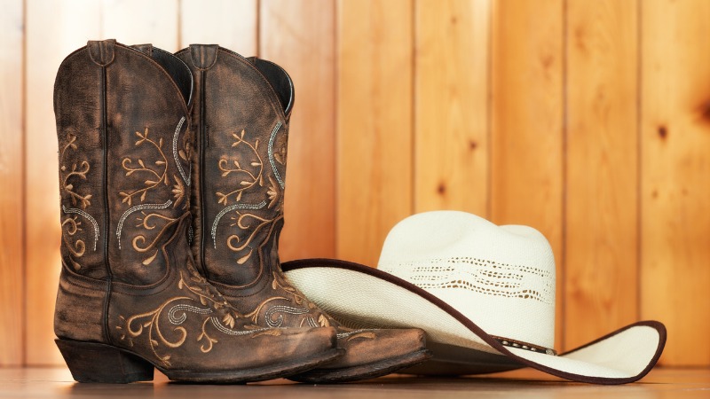 botas do modelo western, ou cowboy