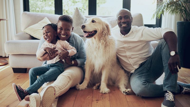 cachorro com família em apartamento