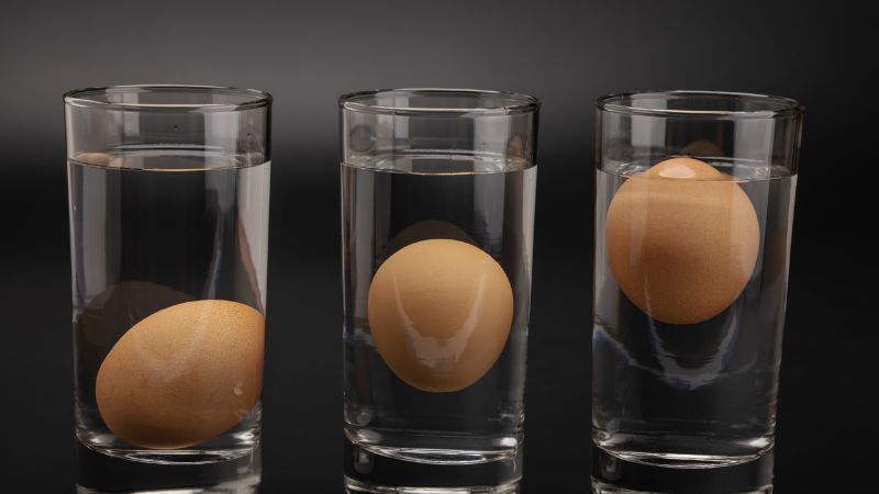 teste do ovo na agua