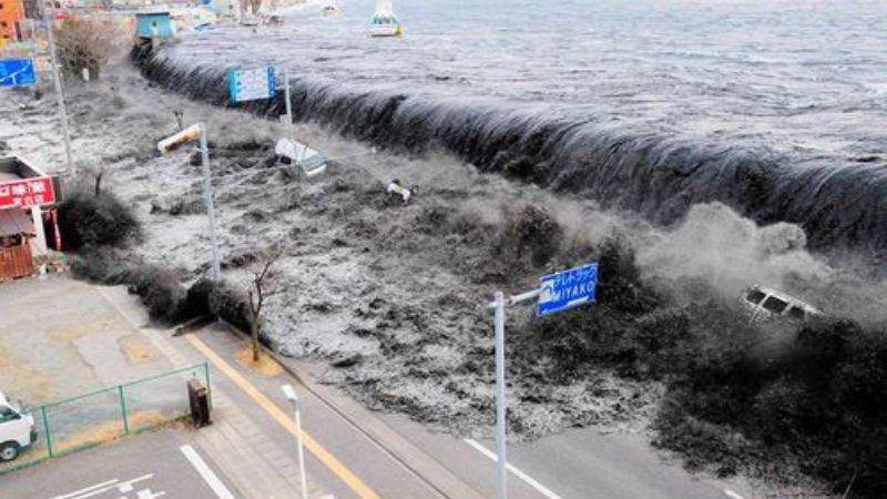 Tsunami de Tohoku, Japão