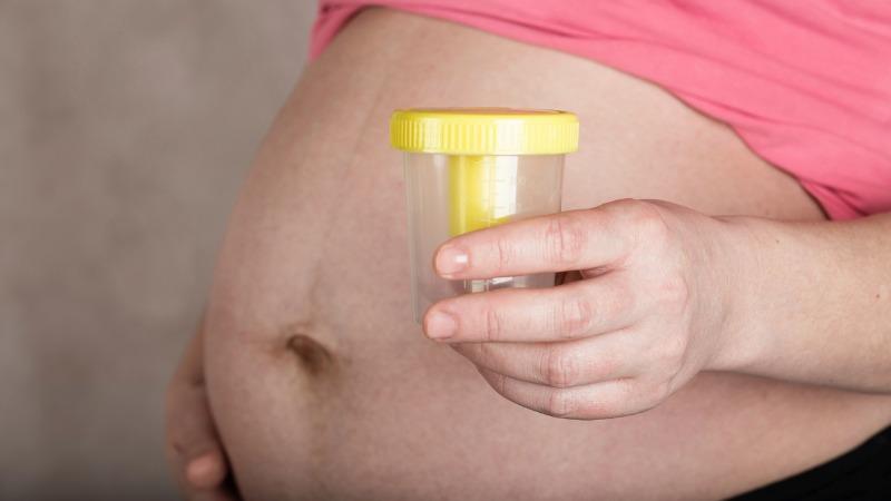 infeccao urinaria na gravidez