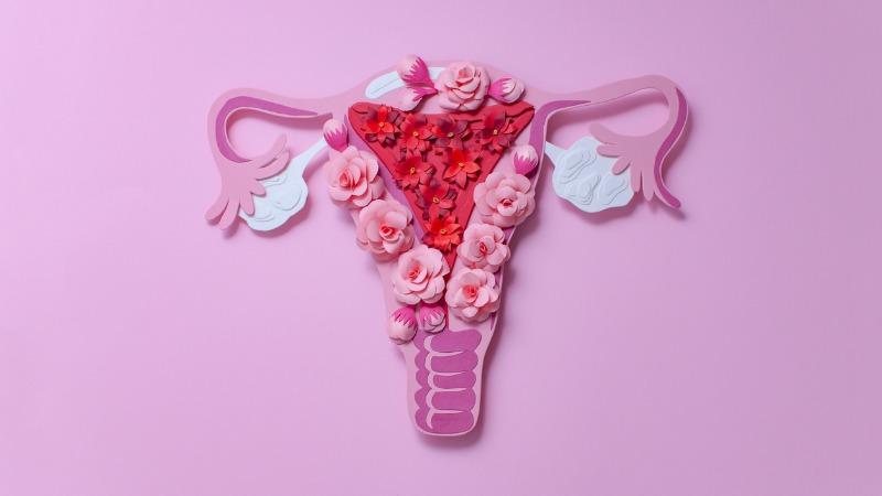 fases do ciclo menstrual