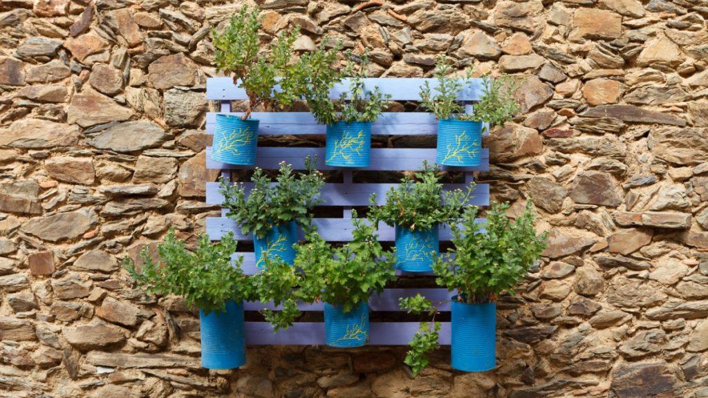 pallet azul com vasos de plantas