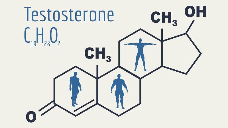 o que é testosterona