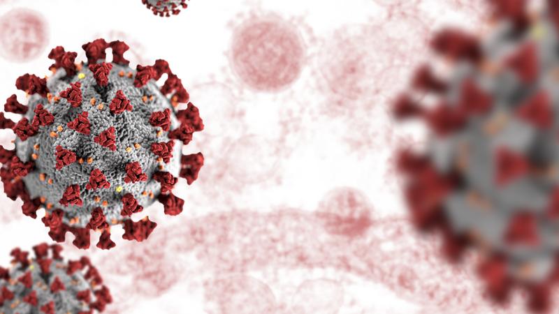 As novas cepas do coronavírus estão por ai. o quão perigosas elas são?