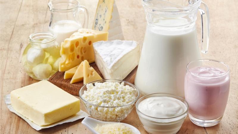 leite e derivados devem fazer parte de uma alimentação equilibrada
