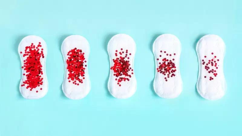 ciclo menstrual tipos de absorventes