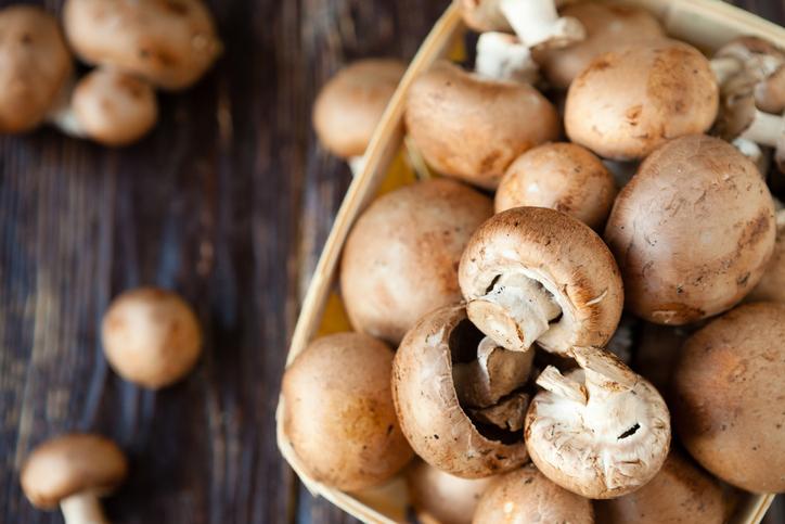 cogumelos benefícios e riscos
